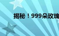 揭秘！999朵玫瑰花价格究竟多少？