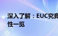 深入了解：EUC究竟是什么币？数字货币特性一览