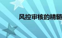 风控审核的精髓与关键步骤解析