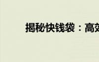 揭秘快钱袋：高效便捷理财新利器