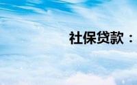 社保贷款：解析与引导