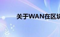 关于WAN在区块链中的含义解析