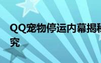 QQ宠物停运内幕揭秘：背后的原因与真相探究