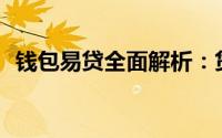 钱包易贷全面解析：贷款服务究竟怎么样？