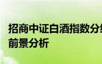 招商中证白酒指数分级基金的投资策略与市场前景分析