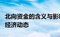 北向资金的含义与影响：揭秘资金流向背后的经济动态
