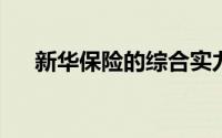 新华保险的综合实力与可靠性深度解析