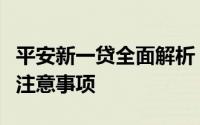 平安新一贷全面解析：贷款产品特点、优势与注意事项