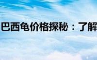 巴西龟价格探秘：了解不同因素下的价格差异