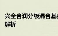 兴全合润分级混合基金的投资策略与市场前景解析