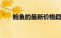 鲍鱼的最新价格趋势及市场行情解析
