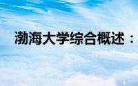 渤海大学综合概述：教育质量与校园环境