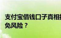 支付宝借钱口子真相揭秘：如何正确使用并避免风险？