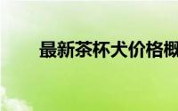 最新茶杯犬价格概览：多少钱一只？