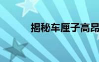 揭秘车厘子高昂价格的背后原因