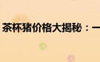 茶杯猪价格大揭秘：一只茶杯猪到底多少钱？