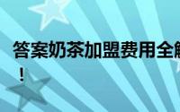 答案奶茶加盟费用全解析：开启您的创业之旅！