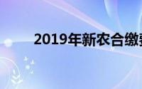 2019年新农合缴费标准及费用详解