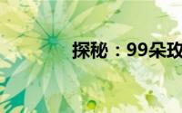 探秘：99朵玫瑰的价格之谜